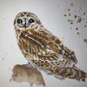 My project in Artistic Watercolor Techniques for Illustrating Birds course. Projekt z dziedziny  Malarstwo użytkownika delphine_collin1 - 03.01.2021