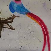Mi Proyecto del curso: Acuarela artística para ilustración de aves....LupitaLucio. Traditional illustration project by Lupita Lucio - 01.05.2021