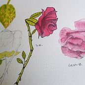My project in Botanical Watercolor Sketchbook course. Pintura em aquarela projeto de Jacqui Robinson - 04.01.2021