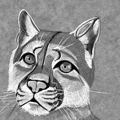 Introducción a Procreate. Digital Drawing, and Traditional illustration project by moni_ - 01.04.2021