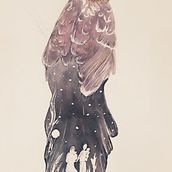 Night bird. 2D Animation, and Watercolor Painting project by dianequinn555 - 01.04.2021