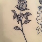 Mi Proyecto del curso: Tatuaje para principiantes. Tattoo Design project by Steffany Diaz - 01.06.2021