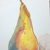 Projects for Illustrating Nature. Botanical Illustration, Fine Arts, Multimedia, and Watercolor Painting project by Tamara - 01.04.2021