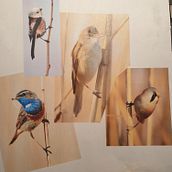 Materials. Watercolor Painting project by Dorota Martyńska - 01.05.2021