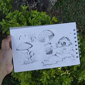 Mi Proyecto del curso: Cuaderno botánico en acuarela. Sketching, Drawing, and Traditional illustration project by Paula Alejandra López Gutiérrez - 01.06.2021