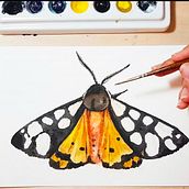 Insects . % Ana Wilhelm tarafından hazırlanan Sanatsal Çizim, Geleneksel illüstras, on, Tablo, Sulubo, Ve a Resim projesi - 01.07.2021