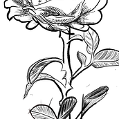 Mi Proyecto del curso: Tatuaje botánico con puntillismo. Desenho digital projeto de Guido Adrian Vega Romero - 08.01.2021