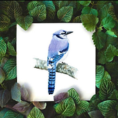 Birds . % Ana Wilhelm tarafından hazırlanan Güzel sanatlar, Guaj Bo, ama, Geleneksel illüstras, on, Tablo, Sulubo, Ve a Resim projesi - 01.07.2021