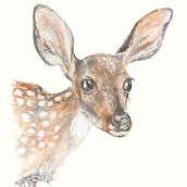 Little Fawn & other animals. Watercolor Painting project by Laura O - 01.07.2021