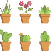 iconos Cactus.  project by Miriam Vinent Escandell - 03.01.2020
