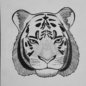 Blackwork tiger . Un progetto di Disegno di Victor Lage - 28.01.2019
