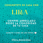 Lira Domicilios.. Br, ing & Identit project by Yazmin Medina - 01.29.2021