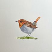 Bird . Un progetto di Pittura ad acquerello di Keli DiRisio - 09.01.2021
