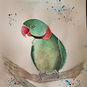 Le perroquet vert. Watercolor Painting project by Amé - 12.03.2021