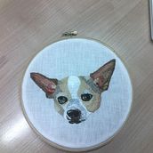My project in Needle Painting for Begginers course: Pipo . Embroider project by magoma0001 - 01.09.2021