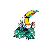 Toucan. Digital Drawing, Digital Illustration, Drawing, Traditional illustration, and Tattoo Design project by Dave Clément - 01.10.2021