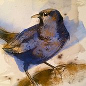 Mein Kursprojekt: Illustrierte Natur: eine kreative Erkundung. Traditional illustration project by Heike Sommer - 01.10.2021