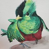 Quetzal. Een project van Aquarelschilderen van Selene Oviedo - 10.01.2021