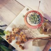 Mi Proyecto del curso: Estrategia de marca en Instagram. Un progetto di Instagram di Daniela Jimenez - 10.01.2021