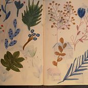 My project in Illustration Techniques to Unlock your Creativity course. Botanical Illustration project by Maria Dykina - 04.06.2021