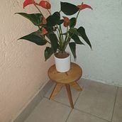 Taburete de niños usado de portamaceta Ein Projekt aus dem Bereich Tischlerei von Mariano Nicolás Occhiuzzi - 11.01.2021