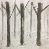 Mi Proyecto del curso: De principiante a superdibujante. Un progetto di Disegno e Disegno a matita di asodrica - 11.03.2021
