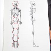 Mi Proyecto del curso: Dibujo anatómico para principiantes. Traditional illustration project by Manuel Cereijo - 01.13.2021