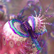 Nudibranch. Een project van Digitale illustratie van tekkin - 06.01.2021