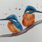 Kingfishers. Watercolor Painting project by Nigel Hackett - 01.12.2021