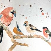 My project in Artistic Watercolor Techniques for Illustrating Birds course. Watercolor Painting project by schmittlin_delphine - 01.13.2021