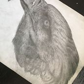 Eagle. Un proyecto de Dibujo a lápiz de alemacieltiburcio - 14.01.2021