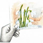 Poetry. Un progetto di Illustrazione botanica, Illustrazione editoriale, Illustrazione tradizionale e Gestione di un portfolio di paola_maria_valsania - 15.01.2021