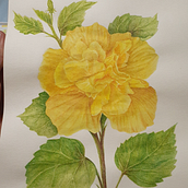 Mi Proyecto del curso: Ilustración botánica con acuarela. Un progetto di Disegno, Disegno realistico e Illustrazione botanica di jon_urk_ces - 16.01.2021
