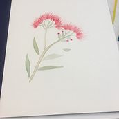 botanical drawings 2020. Projekt z dziedziny Malowanie akwarelą użytkownika bronwyn_amalia - 16.01.2021