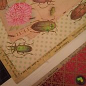 card book. Bookbinding project by Dorian Paul - 01.16.2021