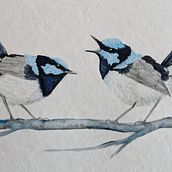 My project in Artistic Watercolor Techniques for Illustrating Birds course. Watercolor Painting project by Laura Saunders - 01.17.2021