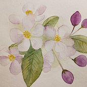My project in Creation of Color Palettes with Watercolor course. Un proyecto de Pintura a la acuarela de silvia_martelli_pro - 17.01.2021