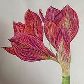 Wilderness and Wildlife. Watercolor Painting project by Sammy Ashby - 01.17.2021