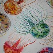 Jellyfish jam. Watercolor Painting project by barbarella_lou - 01.18.2021