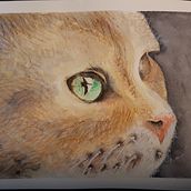 My project in Experimental Watercolor Techniques for Beginners course. Watercolor Painting project by Andy Shillaber - 01.18.2021