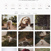 Mi proyecto de fotografía: Luca. Photograph, Outdoor Photograph & Instagram Photograph project by Odile Pallette - 01.18.2021