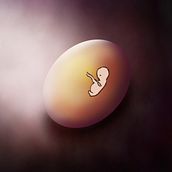 Concept art Ein Projekt aus dem Bereich 2-D-Animation von José Luis Raúl Esquivel Valdés - 19.12.2020