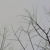 Mi Proyecto [ausencia-presencia]: fotografía narrativa  Ein Projekt aus dem Bereich Fotografie und Artistische Fotografie von Christine Cavi - 19.01.2021