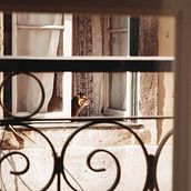 Mi Proyecto del curso: Introducción a la fotografía digital Ein Projekt aus dem Bereich Fotografie von carmencolomoromero - 19.01.2021