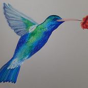 Lápices prisma color. Pencil Drawing project by Larisa Aida Dragut - 01.19.2021