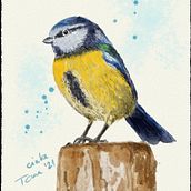 Birds. 2D Animation, 3D Animation, Digital Drawing, Digital Illustration, and Writing project by Istvan Tomasovszki - 01.20.2021