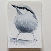 Monochromatic Bird Exercise. Pintura em aquarela projeto de Jan Helton - 20.01.2021