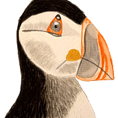 Mi Proyecto del curso: Ilustración naturalista de aves con acuarela. Ilustração naturalista projeto de Marina Aliende - 21.01.2021