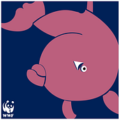 Mi Proyecto del curso: Bases del diseño gráfico para ilustradores . Design grafic de Marcela Barreto - 01.26.2021