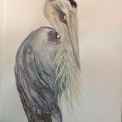 Heron project. Projekt z dziedziny Malowanie akwarelą użytkownika Rachel Strauss - 23.01.2021